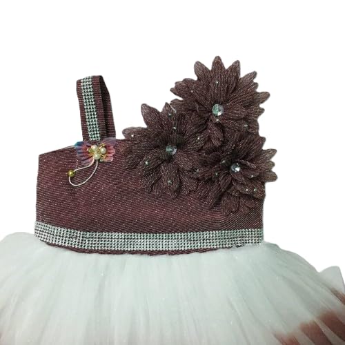 Elegant Baby Tutu Dress, Layered Tulle with Rhinestone Trim, Floral Bodice, Special Occasion Clothing Dresses